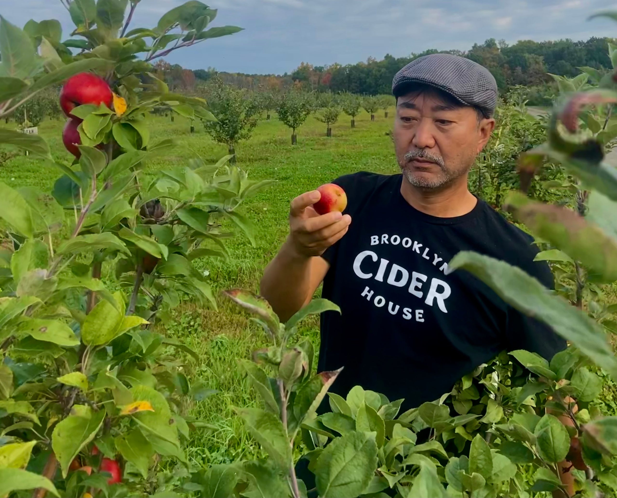 from-orchard-to-glass-heirloom-apples-to-heritage-ciders-home